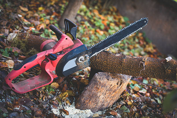 Best Lawn Watering Services  in Big Bear City, CA
